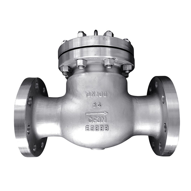 Stainless steel check valve