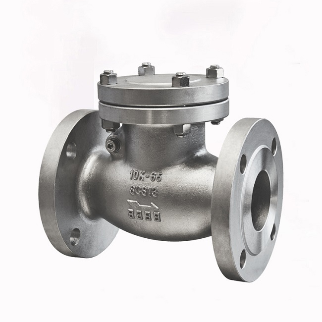 Japanese standard check valve