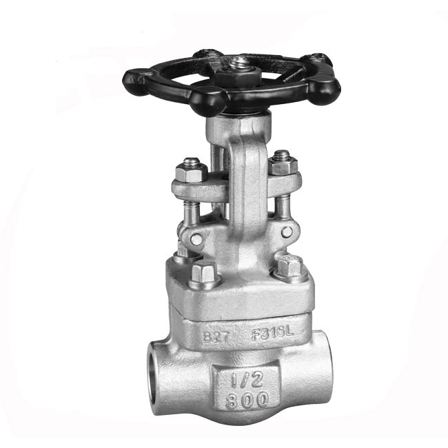 Forged steel gate valve