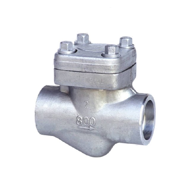 Stainless steel socket welded check valve